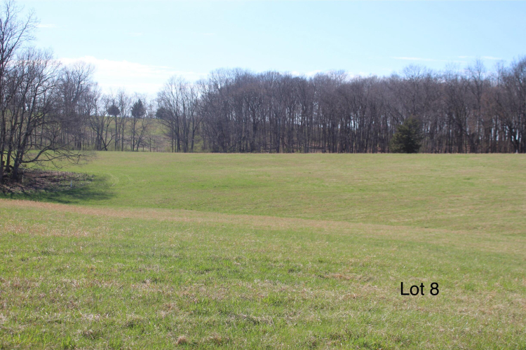Listing Image 5
