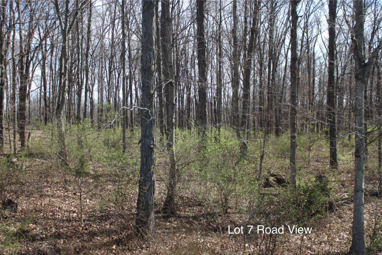 Listing Image 3