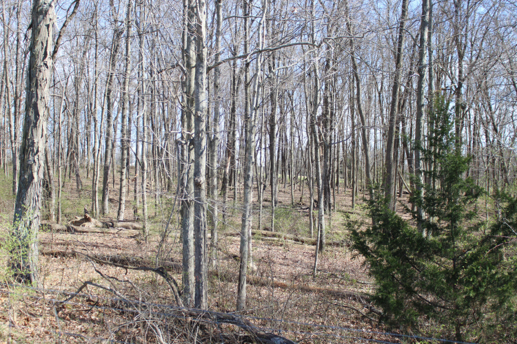 Listing Image 4