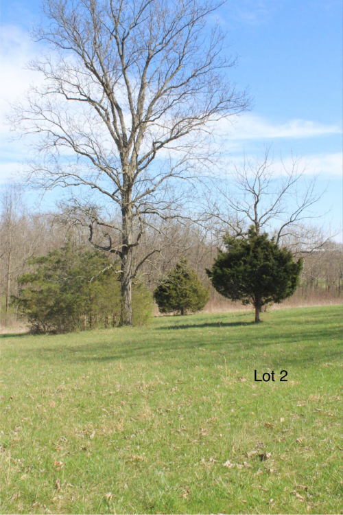 Listing Image 6
