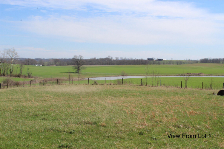 Listing Image 11