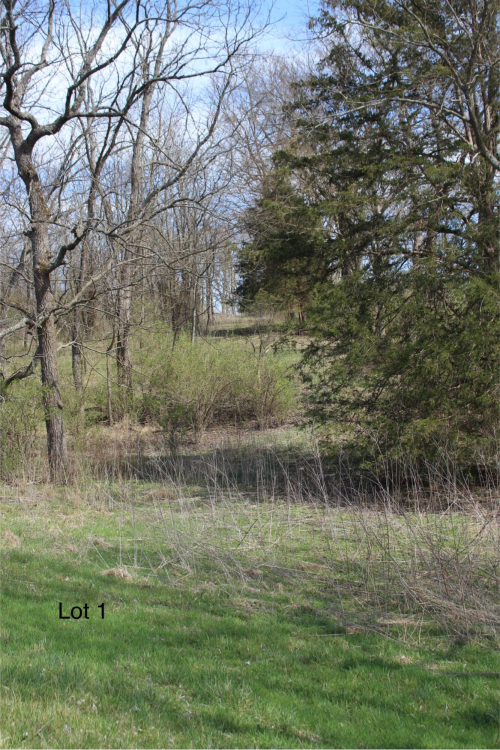 Listing Image 12