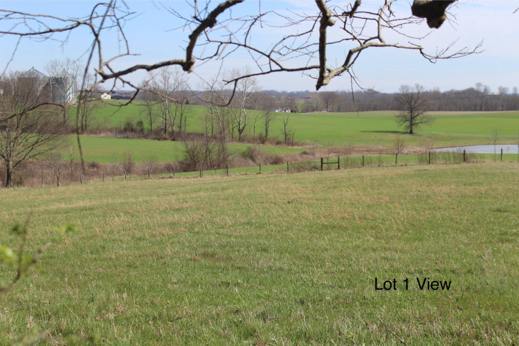 Listing Image 13