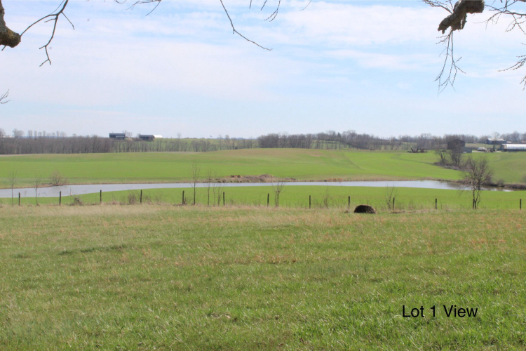 Listing Image 6