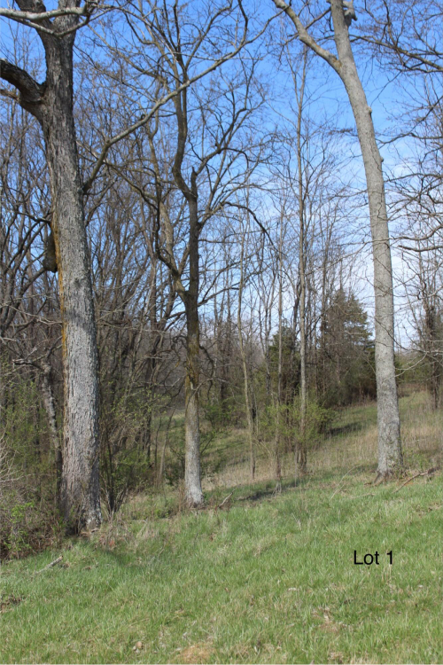 Listing Image 8