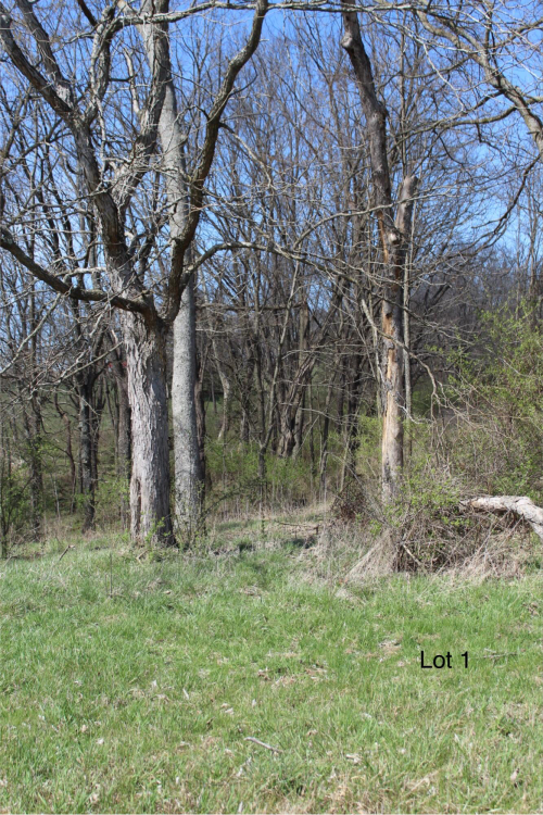 Listing Image 9