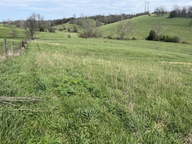 Listing Image 17