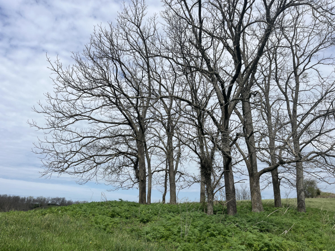 Listing Image 17