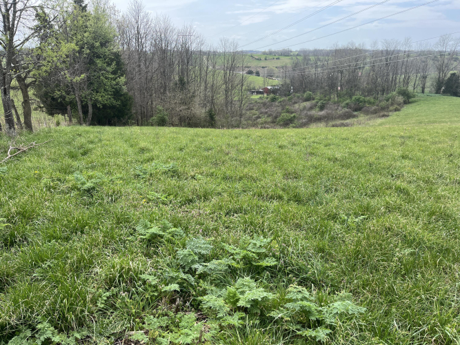Listing Image 18