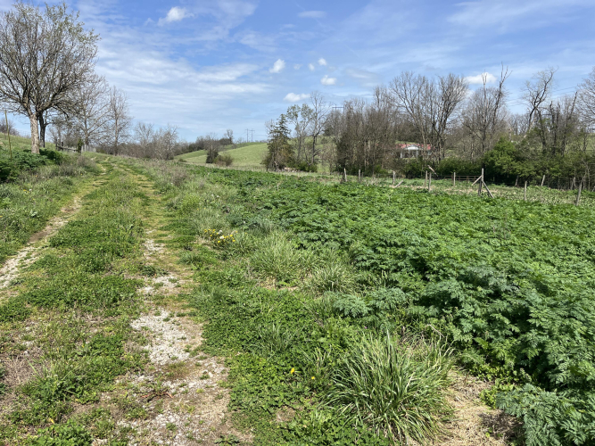 Listing Image 23