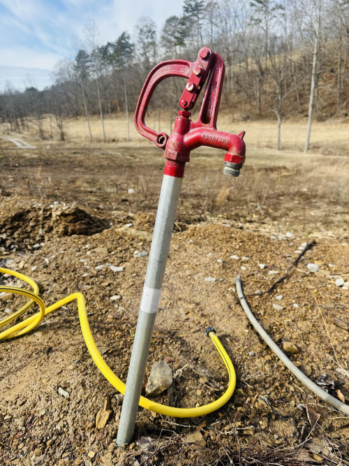 Listing Image 13