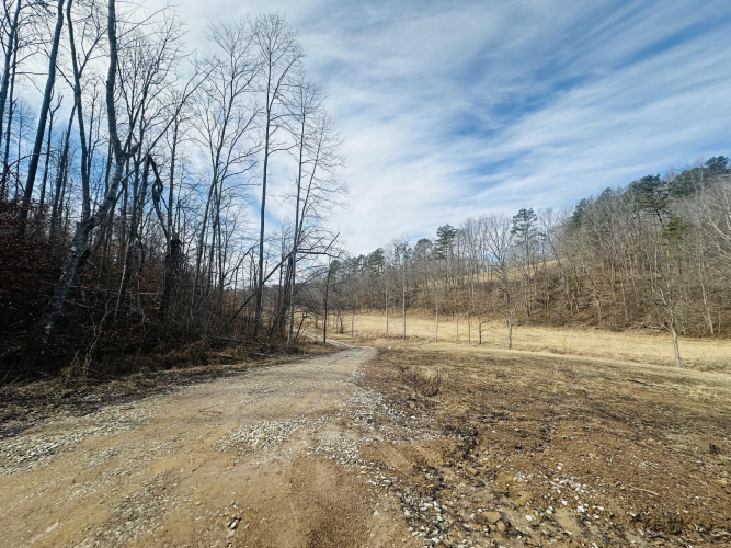Listing Image 14