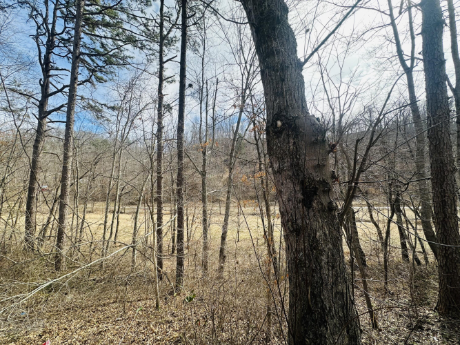 Listing Image 24