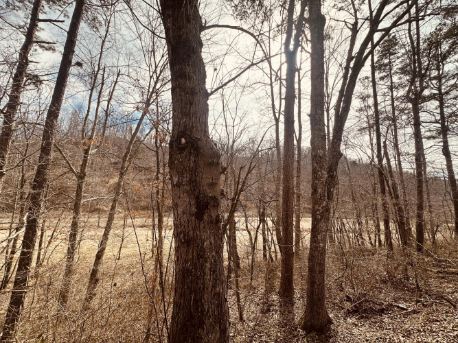 Listing Image 25