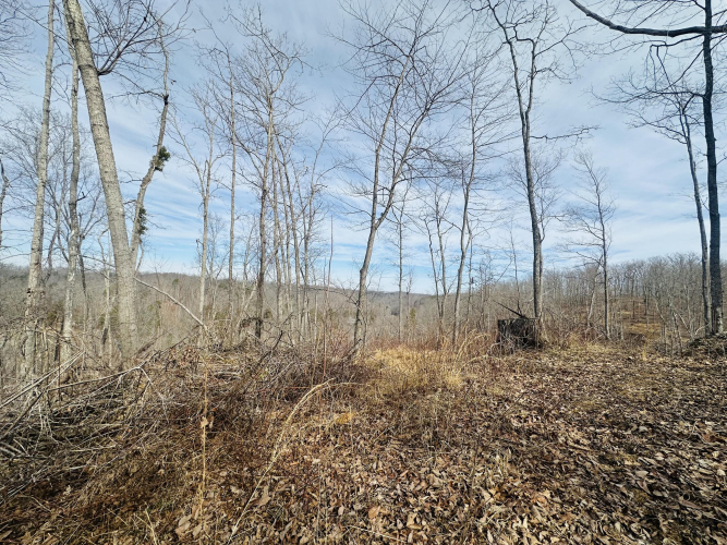 Listing Image 32