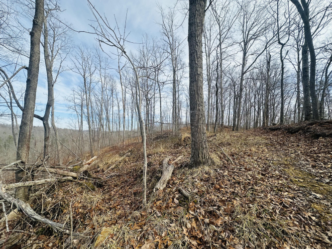 Listing Image 33