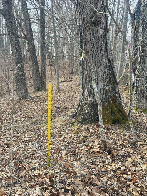 Listing Image 34
