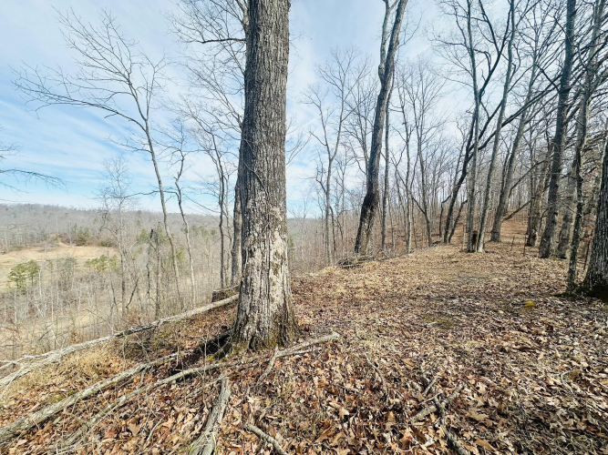 Listing Image 35