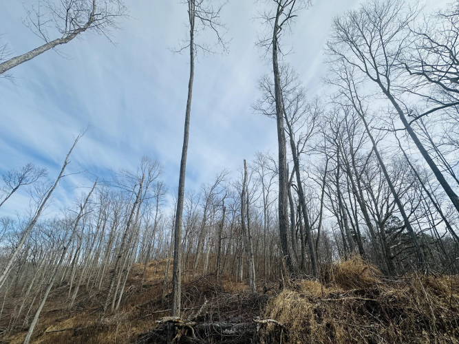 Listing Image 37