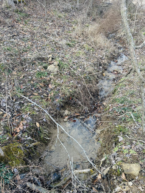 Listing Image 39