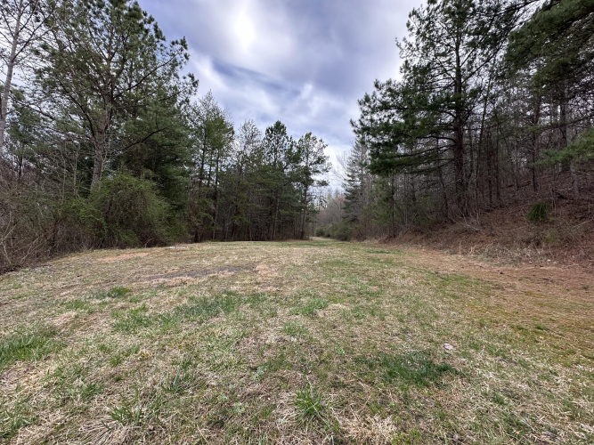 Listing Image 51