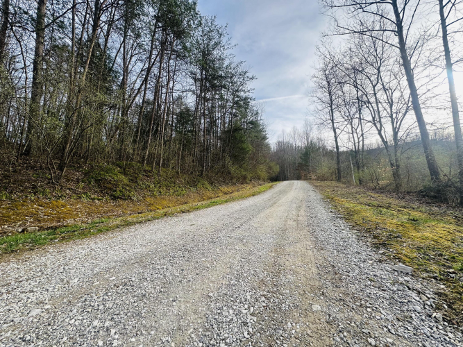 Listing Image 61