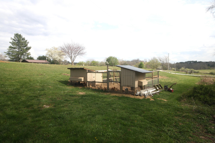 Listing Image 34