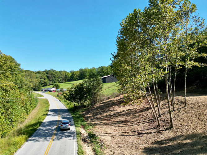 Listing Image 18