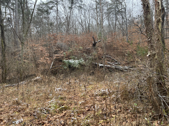 Listing Image 18