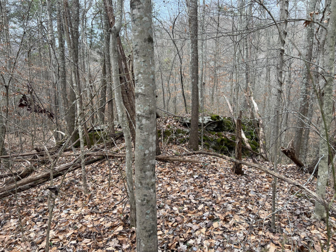Listing Image 22