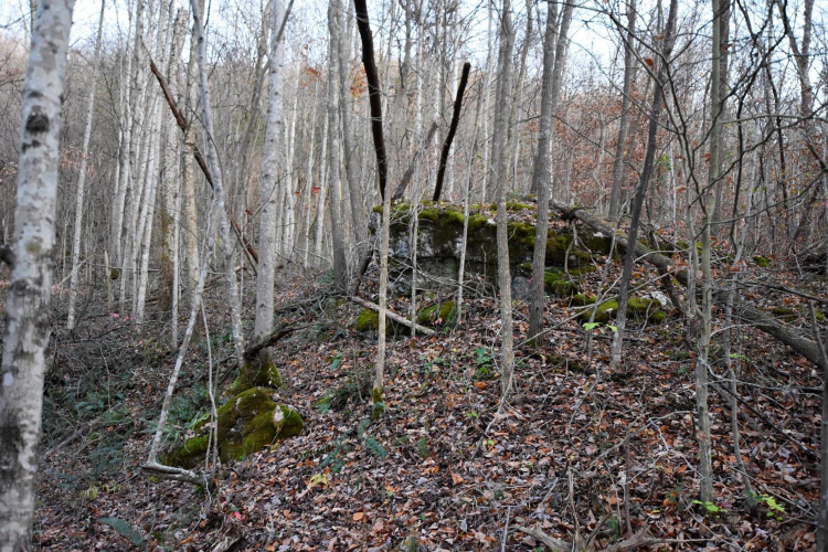 Listing Image 23