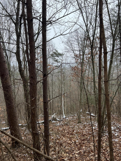 Listing Image 28