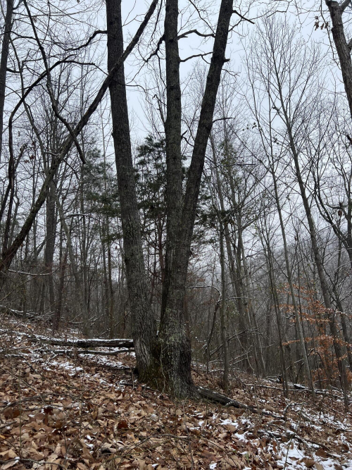 Listing Image 31