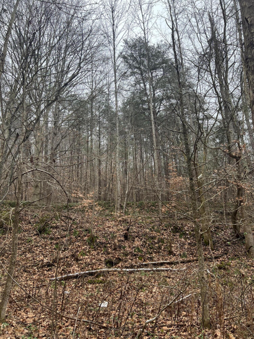 Listing Image 33