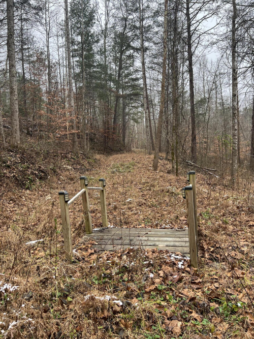 Listing Image 34
