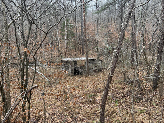 Listing Image 35