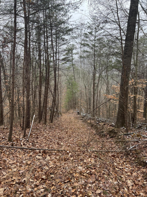 Listing Image 42