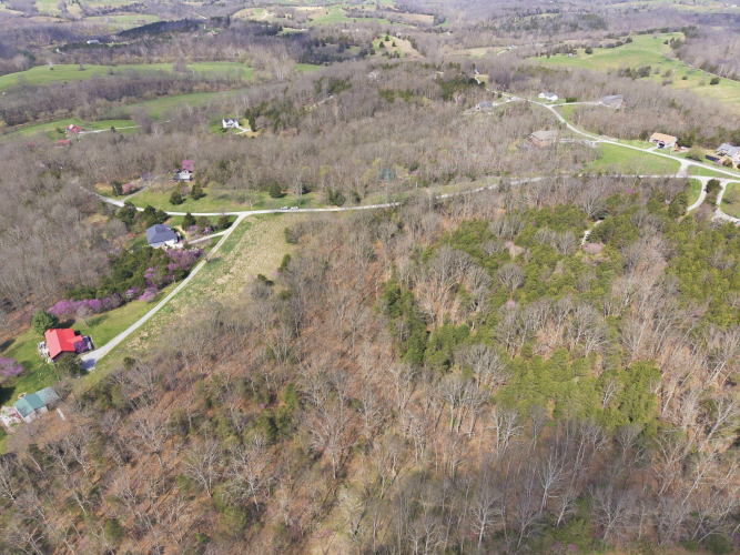 Listing Image 9
