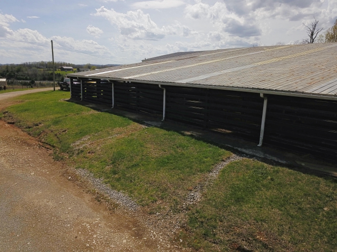 Listing Image 11