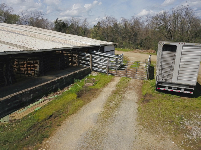 Listing Image 17