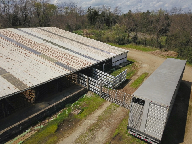 Listing Image 9