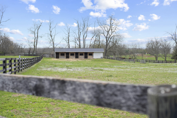 Listing Image 88
