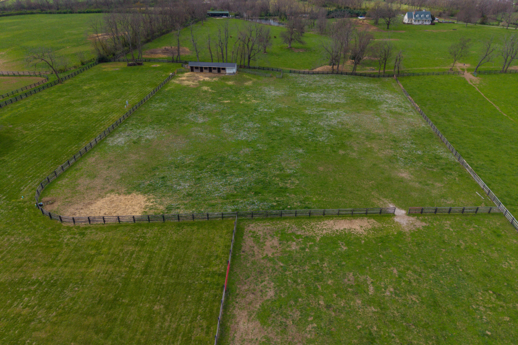 Listing Image 92