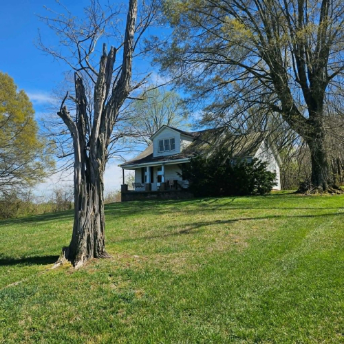 Listing Image 22