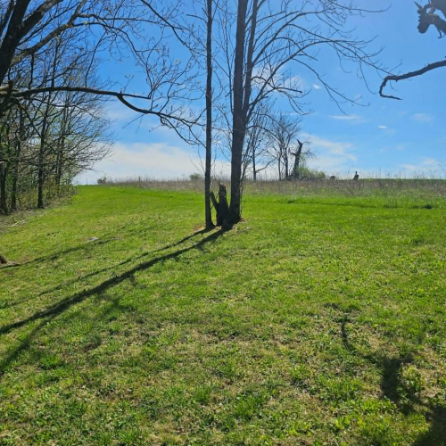 Listing Image 26