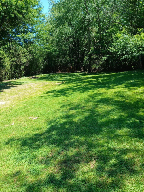 Listing Image 37