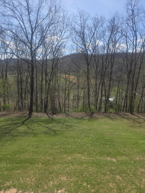 Listing Image 16