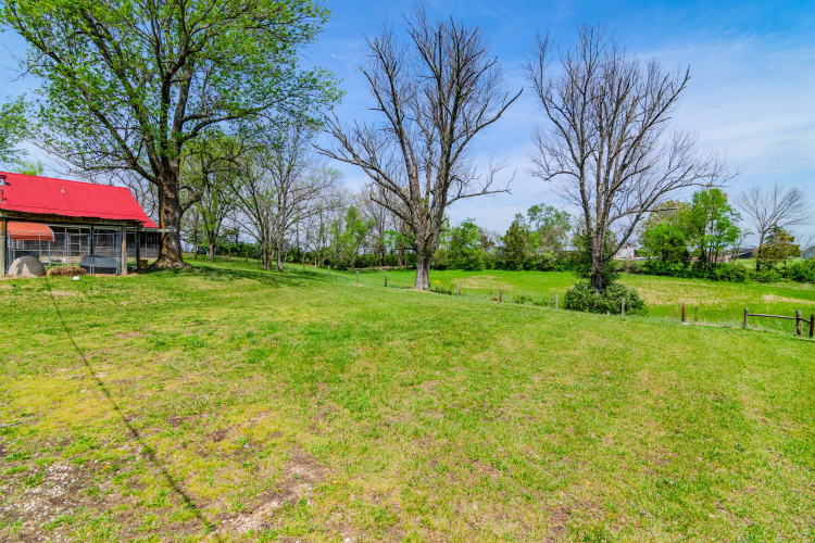 Listing Image 47