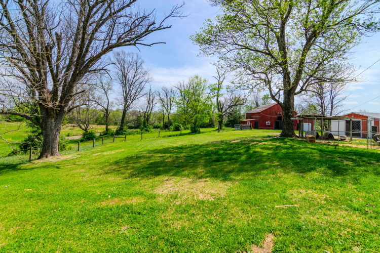 Listing Image 48