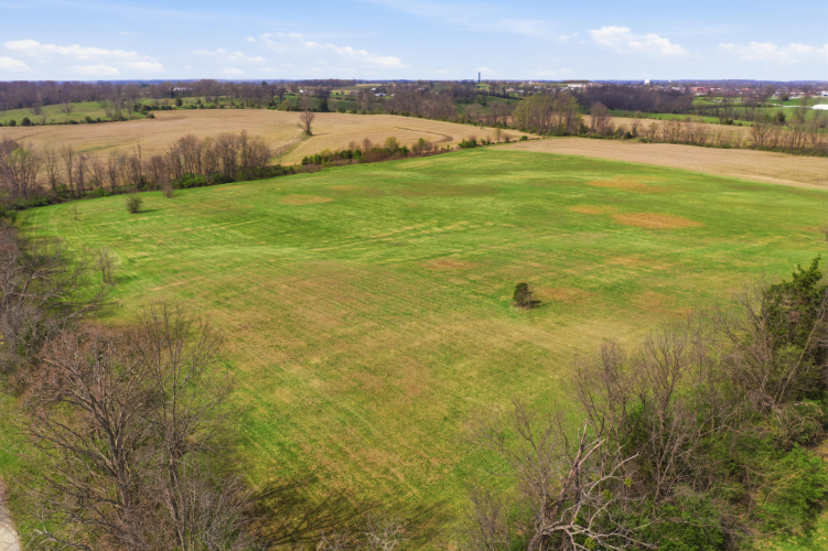 Listing Image 62